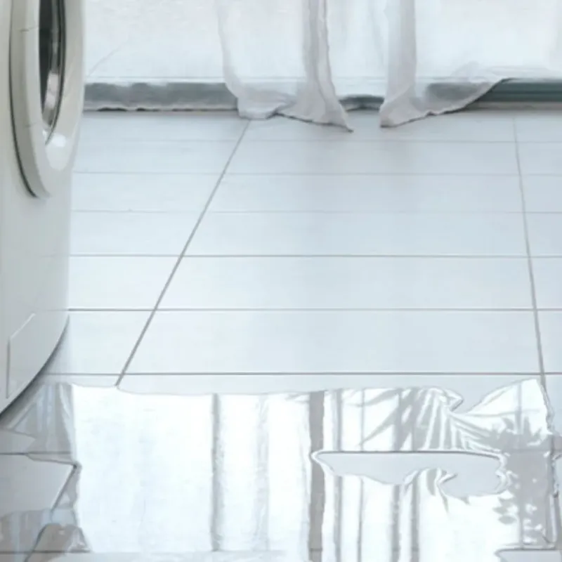 Appliance Leak Cleanup in Phoenix, IL