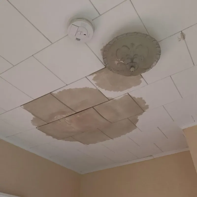 Ceiling Water Damage Repair in Phoenix, IL