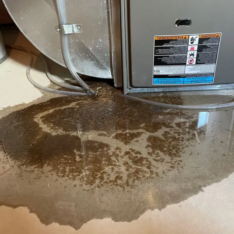 Pipe Burst and Leak Restoration in Phoenix, IL